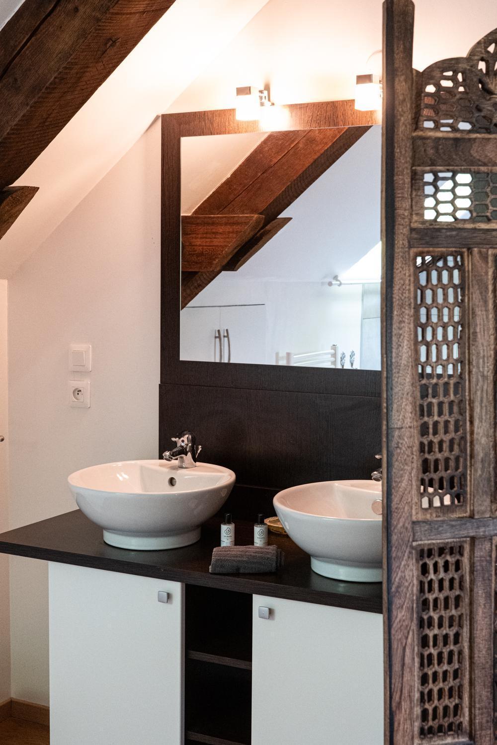 Carnot Duplex, Spacieux 3 Pieces Avec 2 Chambres Sur Les Rue Pietonnes Annecy Dış mekan fotoğraf