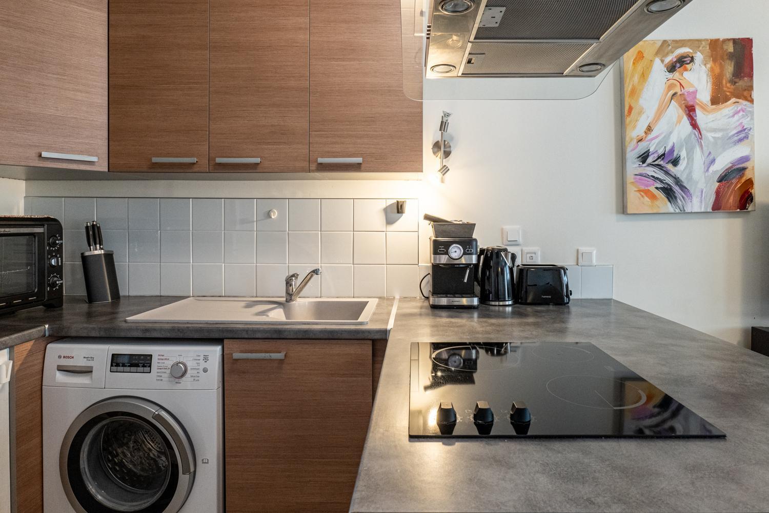Carnot Duplex, Spacieux 3 Pieces Avec 2 Chambres Sur Les Rue Pietonnes Annecy Dış mekan fotoğraf