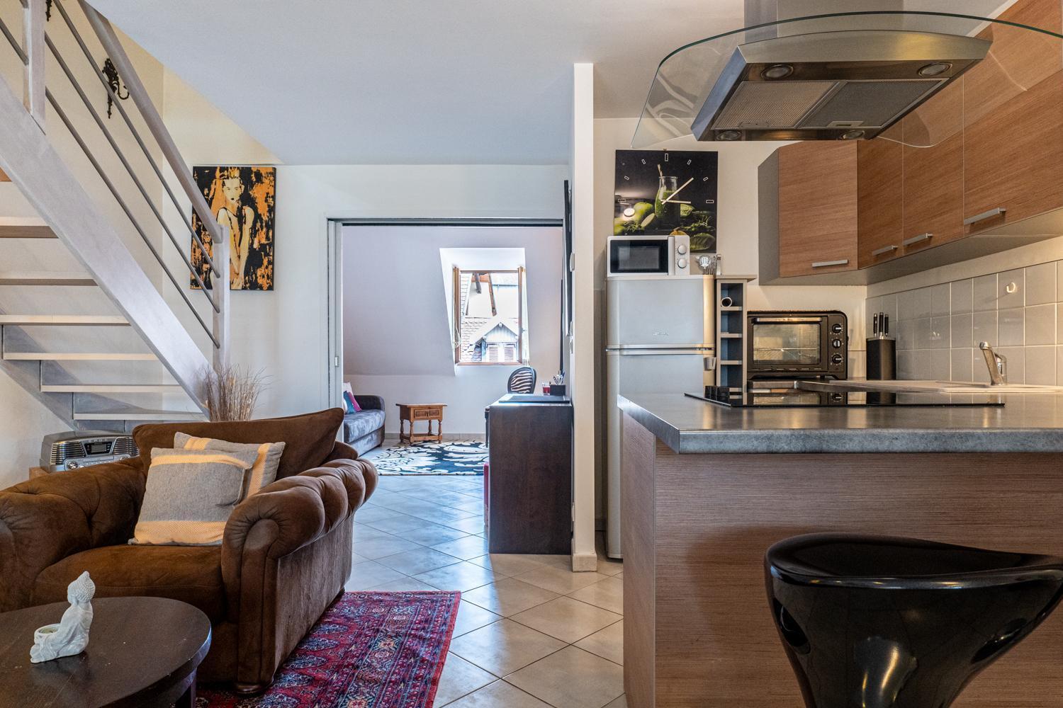 Carnot Duplex, Spacieux 3 Pieces Avec 2 Chambres Sur Les Rue Pietonnes Annecy Dış mekan fotoğraf